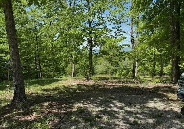 38th image of 0 Pitts Gap Mtn Road, Pikeville, TN 37367 | MLS# 3182224