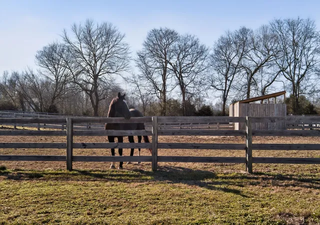 1st image of 441 Matts Hollow Rd, Manchester, TN 37355 | MLS# 3185925