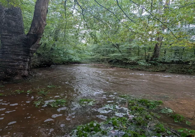 2nd image of 441 Matts Hollow Rd, Manchester, TN 37355 | MLS# 3185925