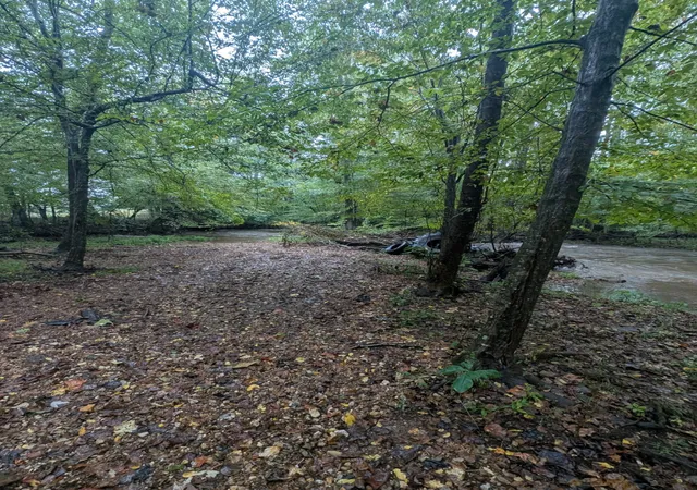 63rd image of 441 Matts Hollow Rd, Manchester, TN 37355 | MLS# 3185925