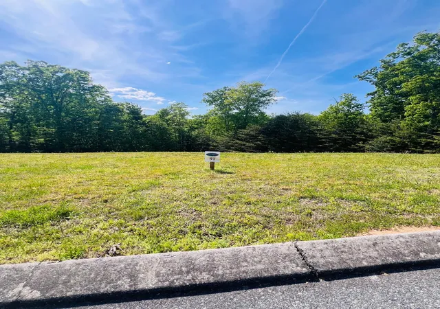 Photo 4 of Land for sale at 240 River Run Trl, Spring City, TN 37381 | MLS# 3222971 | Listing updated on 2026-08-18