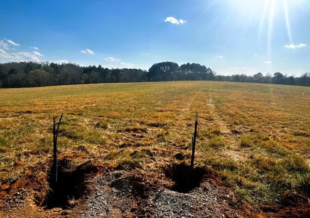 4th image of 3 Lamontville Road, Decatur, TN 37322 | MLS# 3244168