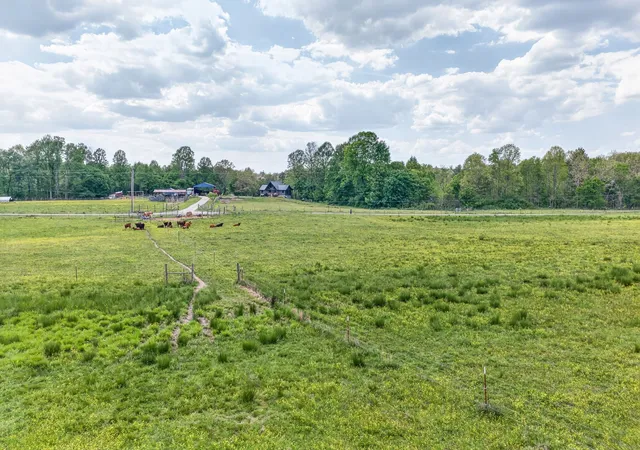 4th image of 0 Honey Creek Loop Rd, Allardt, TN 38504 | MLS# 3182734