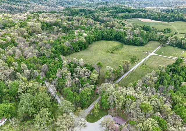 5th image of 0 Honey Creek Loop Rd, Allardt, TN 38504 | MLS# 3182734