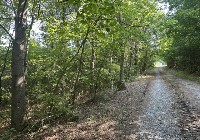 49th image of 111 County Rd 805, Etowah, TN 37331 | MLS# 3186801