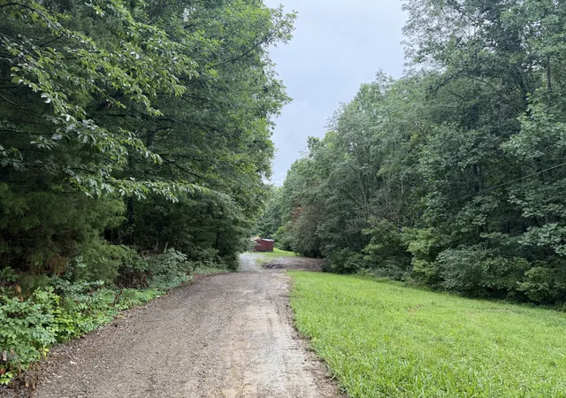 Homes for sale in Ashland City, TN | 1366 Bandy Rd, Ashland City, TN 37015 | MLS# 3185874