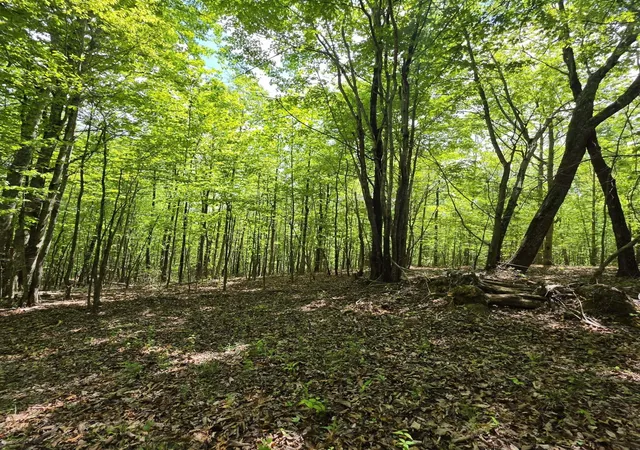 Homes for sale in South Pittsburg, TN | 15 Cluck Cove Road, South Pittsburg, TN 37380 | MLS# 3183079