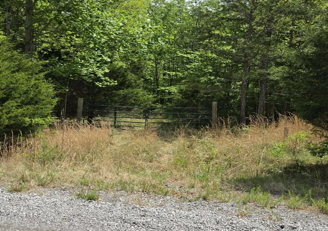 Homes for sale in South Pittsburg, TN | 15 Cluck Cove Road, South Pittsburg, TN 37380 | MLS# 3183079