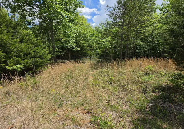 Homes for sale in South Pittsburg, TN | 15 Cluck Cove Road, South Pittsburg, TN 37380 | MLS# 3183079