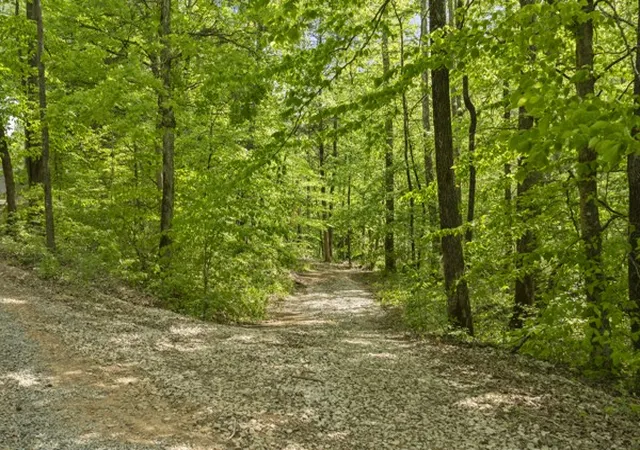 23rd image of 1240 Tanner Hollow Rd, Pleasantville, TN 37033 | MLS# 3183226
