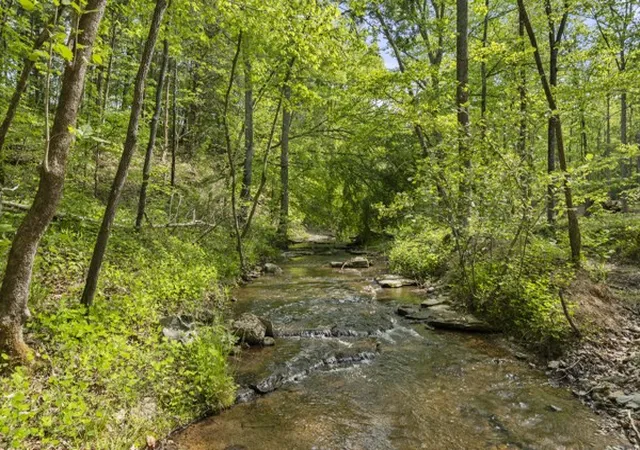 3rd image of 1240 Tanner Hollow Rd, Pleasantville, TN 37033 | MLS# 3183226