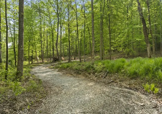 4th image of 1240 Tanner Hollow Rd, Pleasantville, TN 37033 | MLS# 3183226