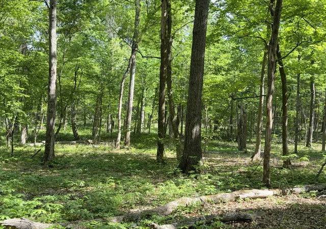 Photo 1 of Land for sale at 0 Millersburg Rd, Christiana, TN 37037 | MLS# 3184575 | Listing updated on 2026-08-20