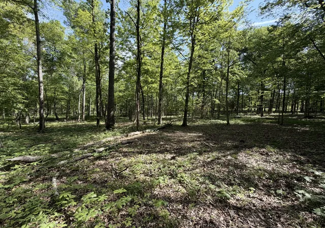 Land for sale at 0 Millersburg Rd, Christiana, TN 37037 | MLS# 3184575