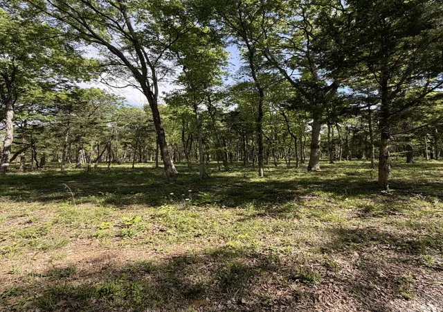 Photo 3 of Land for sale at 0 Millersburg Rd, Christiana, TN 37037 | MLS# 3184575 | Listing updated on 2026-08-20
