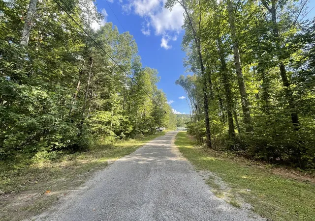 Homes for sale in Gruetli Laager, TN | 0 Caldwell Rd, Gruetli Laager, TN 37339 | MLS# 3183248