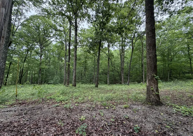 Homes for sale in Dover, TN | 1636 Old Hwy 18, Dover, TN 37058 | MLS# 3184024