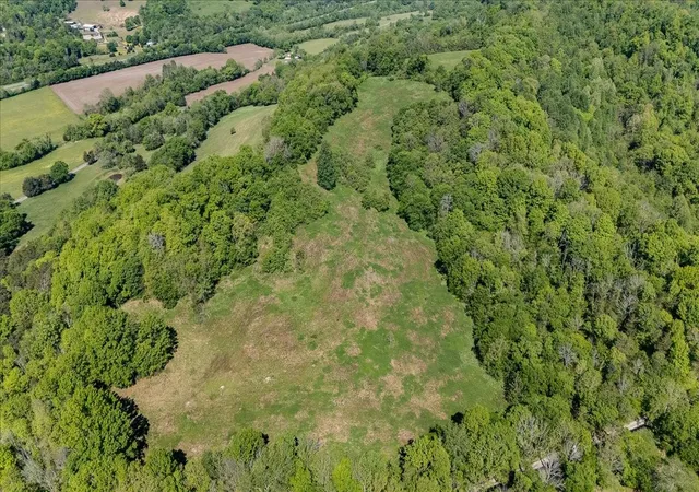 5th image of 7480 Beech Hill Rd, Pulaski, TN 38478 | MLS# 3183296