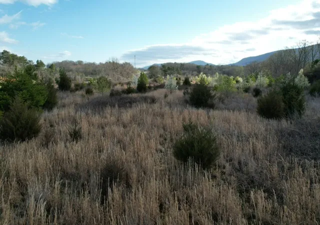 image of 0 Us 411, Benton, TN 37307 | MLS# 3183280
