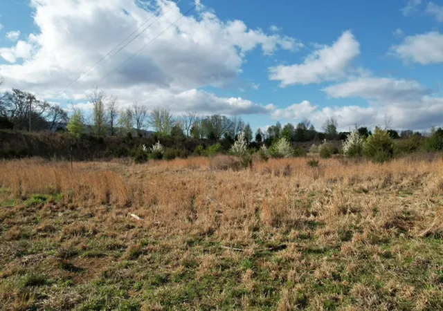 image of 0 Us 411, Benton, TN 37307 | MLS# 3183280
