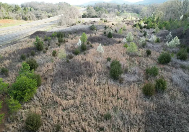 9th image of 0 Us 411, Benton, TN 37307 | MLS# 3183280