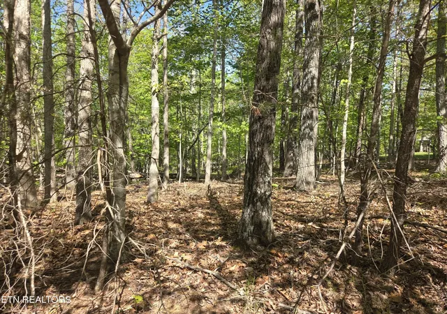 Photo 2 of Land for sale at 375 Rotherham Dr, Crossville, TN 38558 | MLS# 3183290 | Listing updated on 2026-08-25