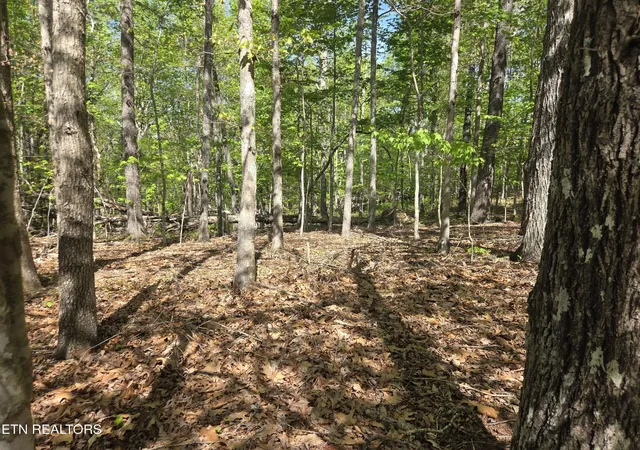 Photo 3 of Land for sale at 375 Rotherham Dr, Crossville, TN 38558 | MLS# 3183290 | Listing updated on 2026-08-25