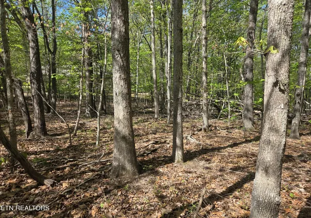 Photo 4 of Land for sale at 375 Rotherham Dr, Crossville, TN 38558 | MLS# 3183290 | Listing updated on 2026-08-25