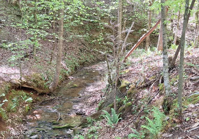 Photo 1 of Land for sale at 0 Payne Rd, Tellico Plains, TN 37385 | MLS# 3615181 | Listing updated on 2026-10-08