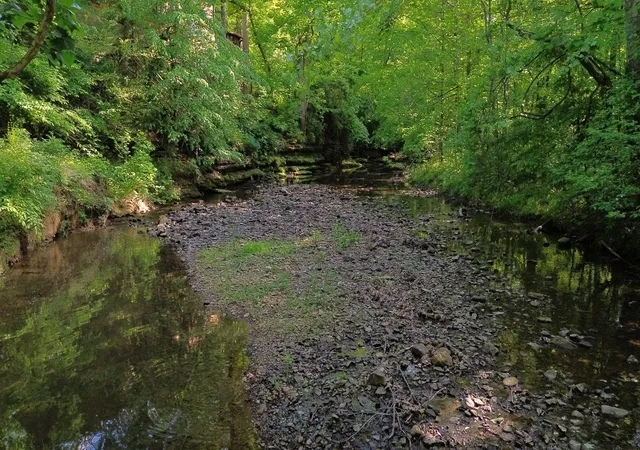 4th image of 2634 Distillery Rd Sw, Greenbrier, TN 37073 | MLS# 3190781