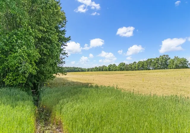 16th image of 3249 Fredonia Rd, Manchester, TN 37355 | MLS# 3183507
