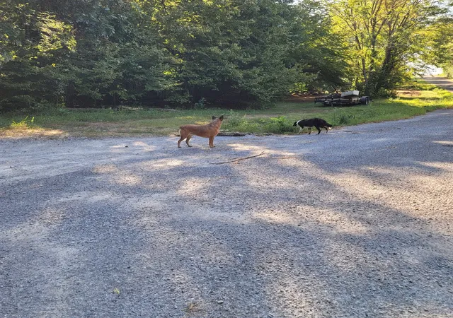 17th image of 0 Greenfield Estates Dr, Culleoka, TN 38451 | MLS# 3185097