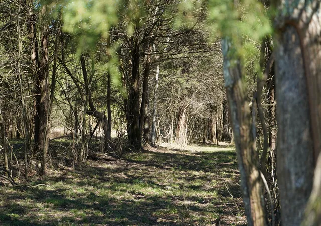 Photo 1 of Land for sale at 999 Old Lewisburg Hwy, Columbia, TN 38401 | MLS# 3183618 | Listing updated on 2026-10-26
