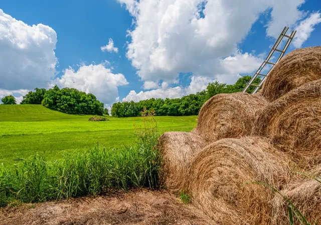 Land for sale at 2200 Sugar Ridge Rd, Spring Hill, TN 37174 | MLS# 3242860