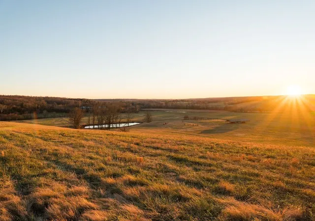 100th image of 6415 Pinewood Rd, Nunnelly, TN 37137 | MLS# 3183959