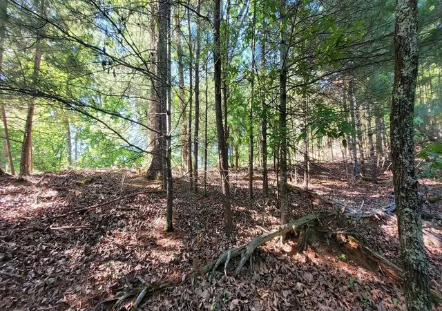1st image of 123 Dogwood Court, Spring City, TN 37381 | MLS# 3304341
