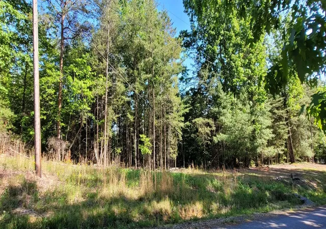 3rd image of 123 Dogwood Court, Spring City, TN 37381 | MLS# 3304341