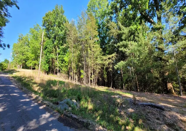 4th image of 123 Dogwood Court, Spring City, TN 37381 | MLS# 3304341
