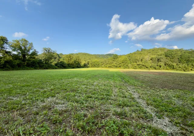 Photo 3 of Land for sale at 0 Hurricane Crk Rd, Woodbury, TN 37190 | MLS# 3184080 | Listing updated on 2026-10-05