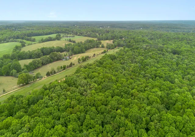 2nd image of 0 Old Number One Rd, Dickson, TN 37055 | MLS# 3185066