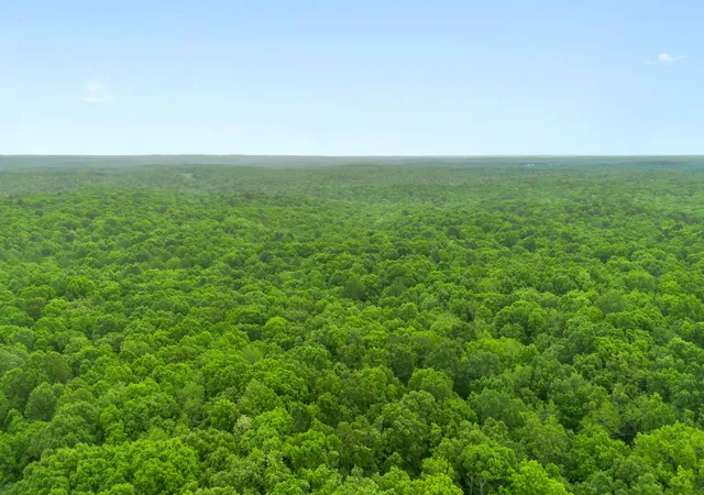 31st image of 0 Old Number One Rd, Dickson, TN 37055 | MLS# 3185066