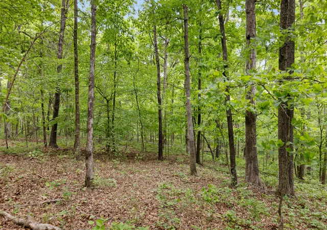 4th image of 0 Old Number One Rd, Dickson, TN 37055 | MLS# 3185066