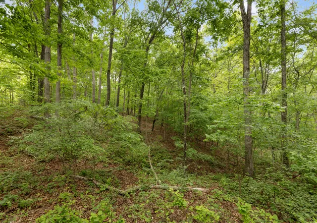 Photo 3 of Land for sale at 0 Old Number One Rd, Dickson, TN 37055 | MLS# 3185066 | Listing updated on 2026-09-03