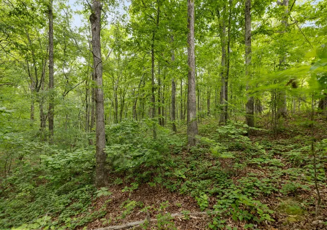 Photo 4 of Land for sale at 0 Old Number One Rd, Dickson, TN 37055 | MLS# 3185066 | Listing updated on 2026-09-03