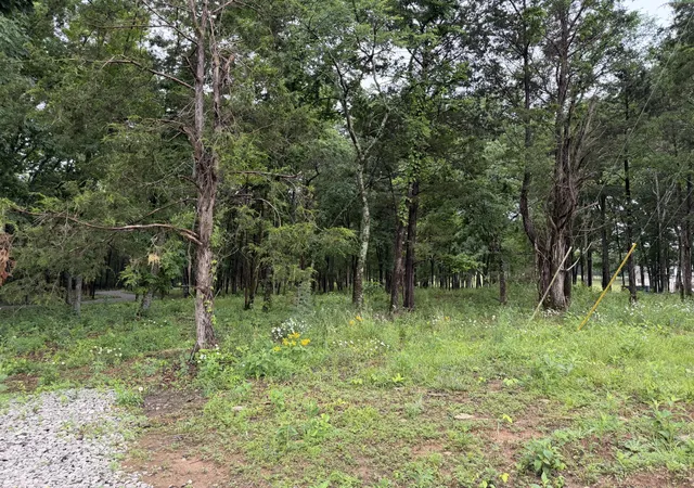 Photo 2 of Land for sale at 2827 Unionville Rd, Chapel Hill, TN 37034 | MLS# 3191818 | Listing updated on 2026-08-28