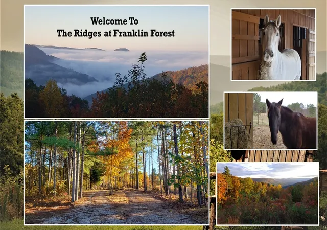 10th image of 0 Thunder Ridge Dr, South Pittsburg, TN 37380 | MLS# 3184548