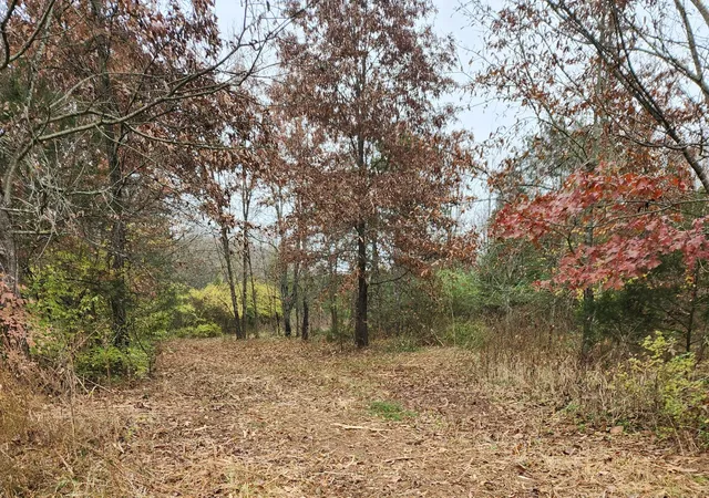 Photo 1 of Land for sale at 4230 Peytonsville Trinity Rd, Franklin, TN 37064 | MLS# 3184618 | Listing updated on 2026-06-08