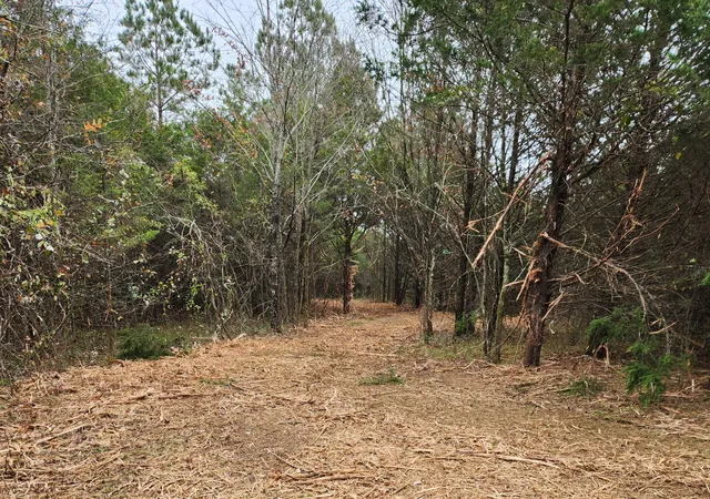 Photo 2 of Land for sale at 4230 Peytonsville Trinity Rd, Franklin, TN 37064 | MLS# 3184618 | Listing updated on 2026-06-08