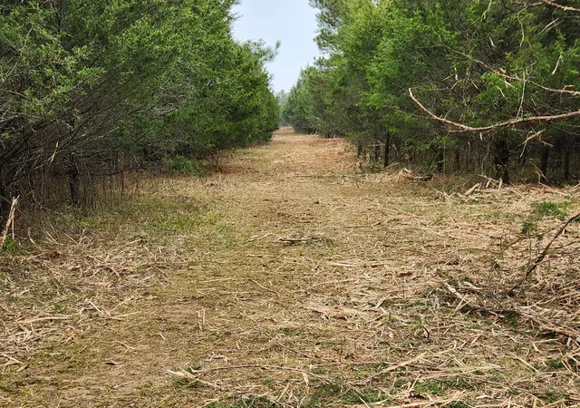 Photo 3 of Land for sale at 4230 Peytonsville Trinity Rd, Franklin, TN 37064 | MLS# 3184618 | Listing updated on 2026-06-08