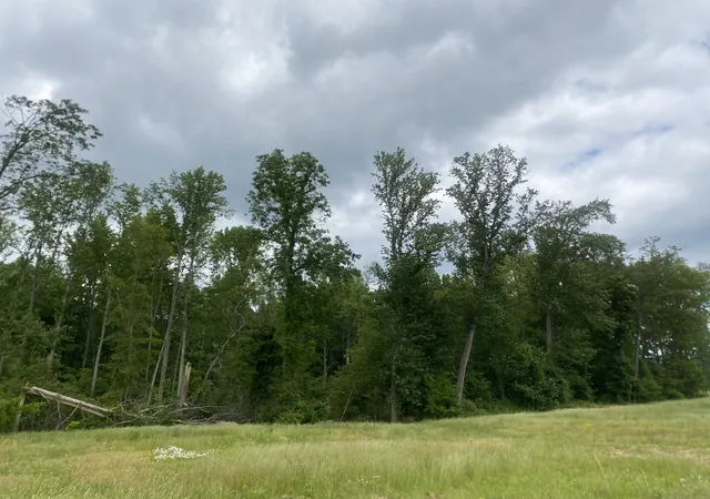 Photo 3 of Land for sale at 0 Wheeler Rd, Mc Minnville, TN 37110 | MLS# 3205388 | Listing updated on 2026-06-03